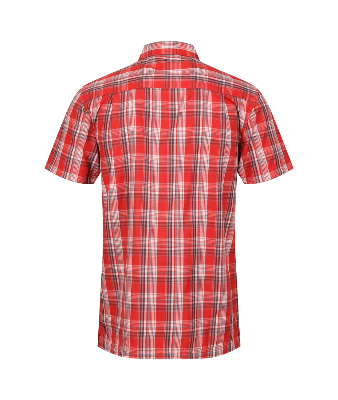 Regatta Mindano VII – Bild 4