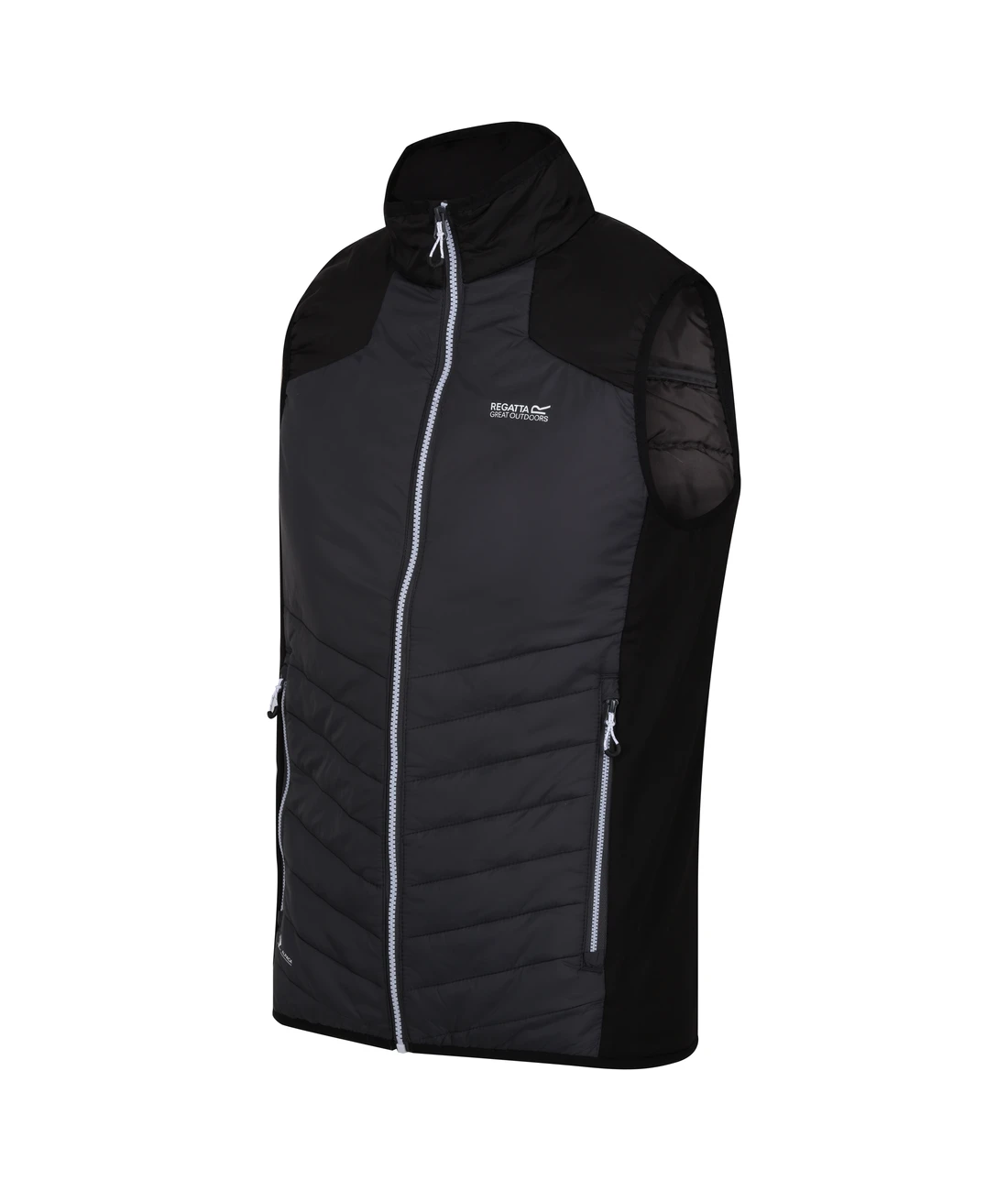 Regatta Halton B/W VI Men